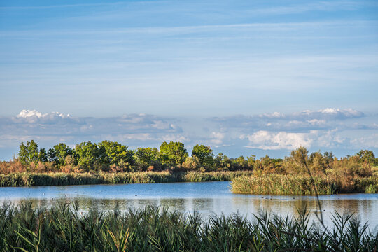 nature sceneries inside the Oasi di Vallevecchia di Brussa, Caorle, Venice, Italy