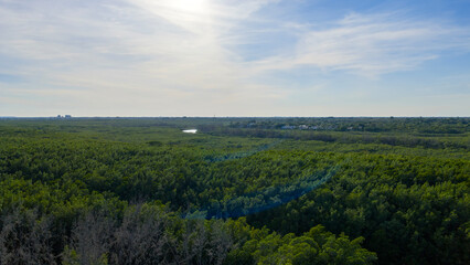 Fototapeta premium Aerial shot of Matheson Hammock Park in Coral Gables Florida USA