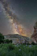 Milky Way over Dinosaur National Monument