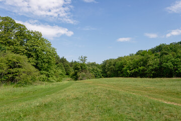 A vibrant green meadow under a bright blue sky, showcasing natural beauty and tranquility.
