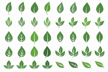Green leaf icon set