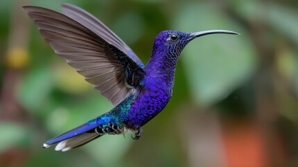 Naklejka premium A blue hummingbird is flying through the air. The bird is small and has a long, thin beak. Concept of freedom and grace as the bird soars through the sky