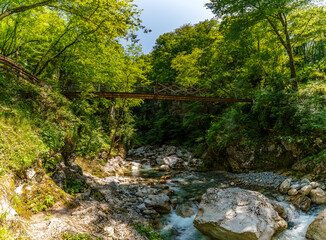 Serene wooden bridge spanning lush Tolmin Gorges river amid vibrant Triglav National Park forest