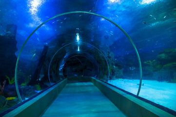 The underwater tunnel inside the large aquarium,