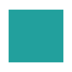 Solid teal square on white background