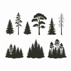 Coniferous tree silhouette set