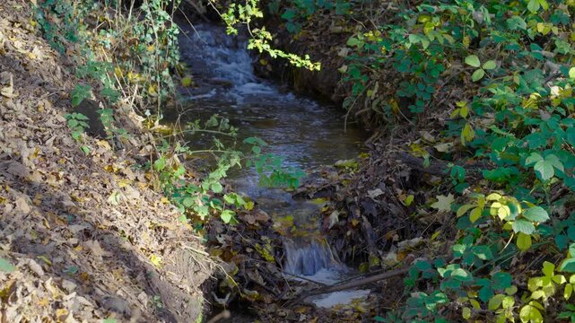 Water flowing in a small stream, cascading small waterway