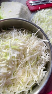 The process of salting white cabbage. shredded white cabbage, sauerkraut, fermented vegetables