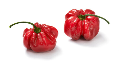 Dwie czerwone papryczki Habanero na białym tle