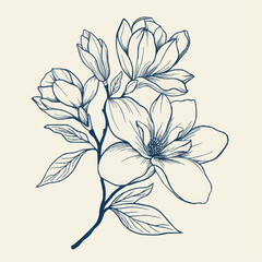 Magnolia flower line-art