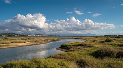 A river flows gently through wetlands surrounded by tall grasses and small bushes. Soft clouds fill the sky above while the sun shines down on the landscape.