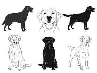 Set of six labrador retriever dog illustrations silhouettes, line art, and solid black figures in various poses