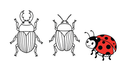 Fototapeta premium Two beetles and a friendly ladybug stand together on a white background highlighting insect shapes and patterns in a simple colorful line drawing style.