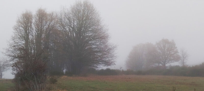 Valle monta&ntilde;oso con praderas de hierba seca y bosques caducifolios bajo un cielo gris de invierno en Palencia, Espa&ntilde;a