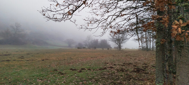 Paisaje de valle monta&ntilde;oso bajo un denso manto de niebla y nubes bajas en un d&iacute;a de invierno en Palencia, Espa&ntilde;a