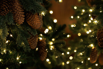 Christmas Tree Branches with Warm Fairy Lights Close Up