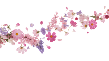 Pink and Purple Flowers on White Background