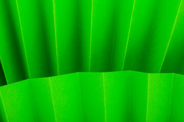 Green paper background.