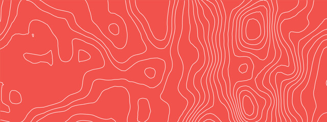 Tuna salmon sushi and meat pattern texture with fish abstract wood. Lines red vector and gradient sardine food with healthy polish package. Peach tuna sashimi and line meat skin with bg.