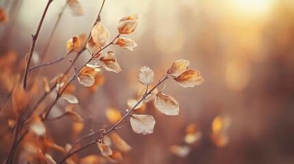 Close up of dried autumn leaves on branches in the sunlight