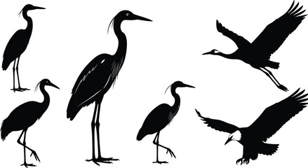 Set of bird silhouettes featuring herons, cranes, and flying eagle, isolated vector illustration for nature, wildlife, and wilderness concepts.