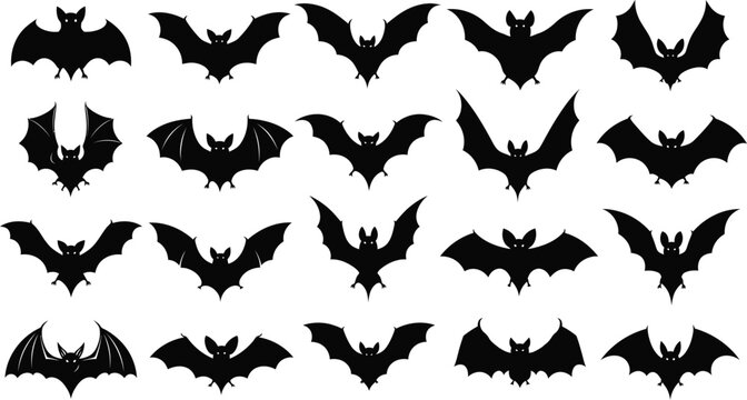 Collection of twenty different black bat silhouettes flying in white space