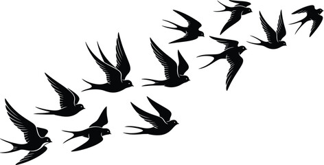 Scattered white dots pattern isolated on transparent background