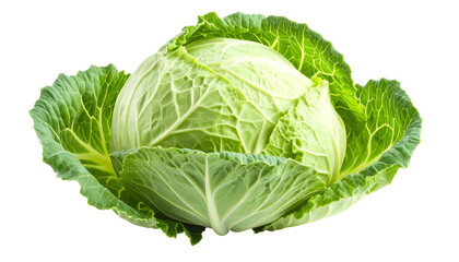 A vibrant, green head of cabbage sits isolated against a black background