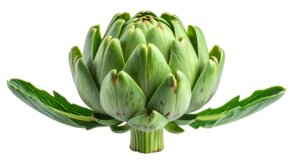 Isolated, vibrant green artichoke, showcasing detailed texture and leaves against a black background