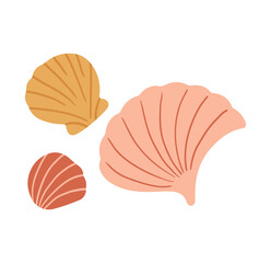 Stylish seashells collection evokes summer vacation vibes, offering a touch of coastal charm for beach-themed designs and nautical projects with elegant simplicity
