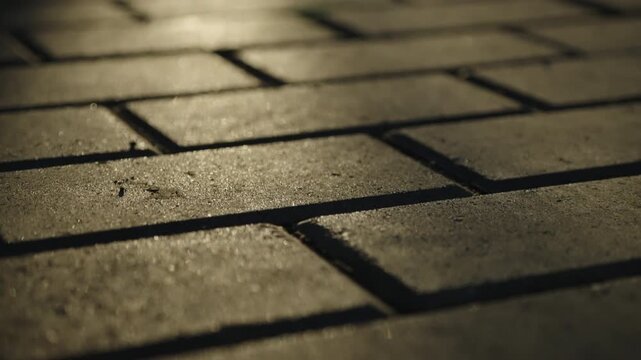 Close-up of rectangular paving stones at golden hour, warm sunlight casting long shadows across a textured brick walkway, emphasizing geometric patterns and perspective
