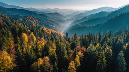 Fototapeta premium Colorful trees fill the mountains and valleys during autumn. The image shows layers of hills with varied colors. The sun rises creating shadows on the landscape.