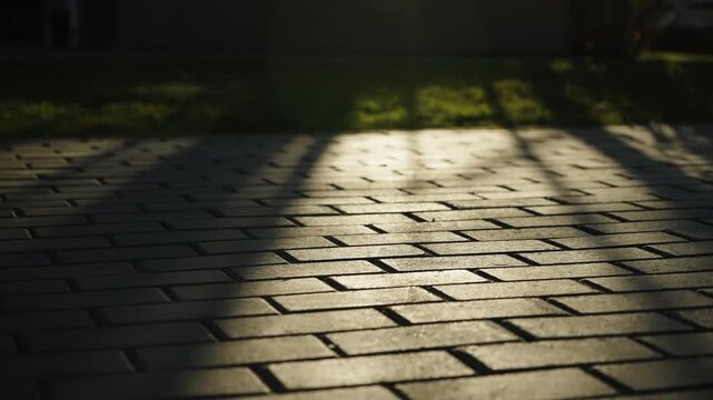 Sunlit brick pavement with long tree shadows stretching across textured pavers at golden hour, soft greenery in the background, evoking a calm, warm, late-afternoon ambiance.