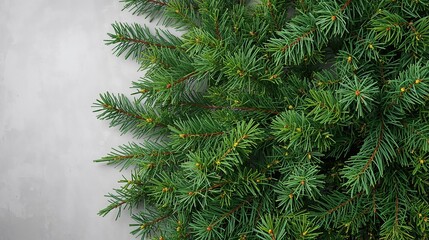 : Lush christmas Tree Natural Background