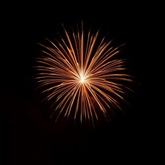 Vibrant Golden Firework Bursting in Dark Night Sky Celebration