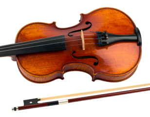 Polished wooden stringed instrument and bow
