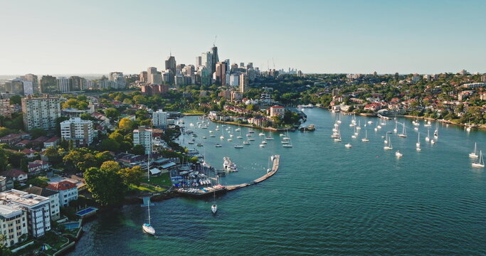 Sydney harbor cityscape with many sailboats and yachts moored in tranquil bay, residential buildings skyscrapers, green trees lining shore, central business district skyline in distance. Aerial shot