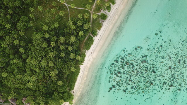 Aerial view capturing the vibrant contrast of lush green palm trees and dense jungle meeting a pristine white sand beach, bordering clear turquoise water with visible coral reefs