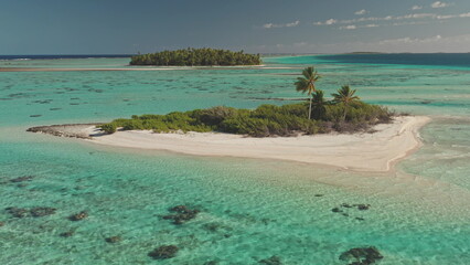 Breathtaking aerial view of a pristine islet with palm trees and lush vegetation, bathed by crystal-clear turquoise waters, creating a secluded paradise in French Polynesia