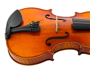 Stringed instrument with wooden body and F-holes