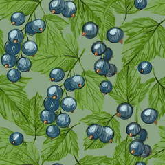 Blackcurrant, berry, seamless pattern, set of hand-drawn illustrations, pencil drawing