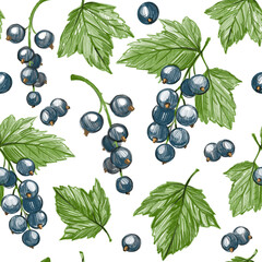 Blackcurrant, berry, seamless pattern, set of hand-drawn illustrations, pencil drawing