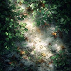 Sunlit leaves and shadows on forest floor with fallen autumn foliage