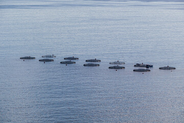 Fish farm at sea. Circular fish-farming cages floating on ocean water
