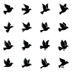 Collection of black bird silhouettes in various flying poses wing feather