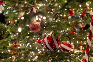 A richly decorated Christmas tree features twinkling lights, festive candy cane ornaments, and sparkly red globes.