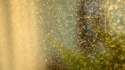 A macro photograph of condensation on a window, backlit by warm sunlight. Features a textured,...
