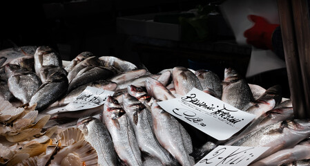 fresh fish at the market