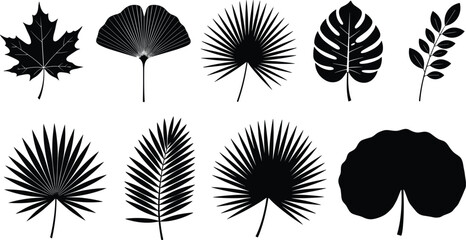 Black Silhouette Vector Set of Tropical, Exotic, and Tree Leaves Including Maple, Ginkgo, Palm, and Monstera Isolated on White Background for Design