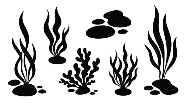 Collection of various black silhouettes of underwater seaweed and kelp plants with stones isolated on a white background.